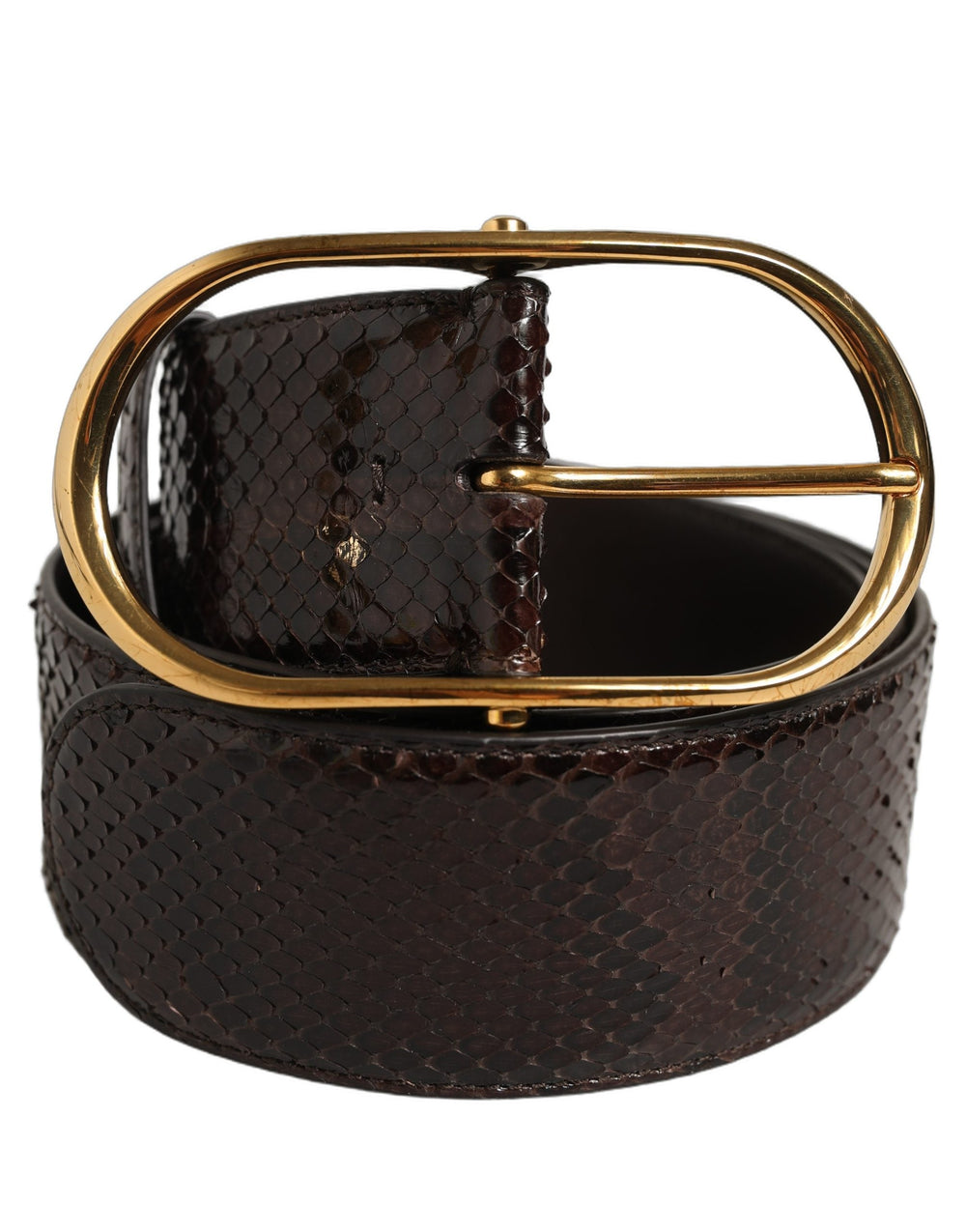 Women’s Dolce & Gabbana Brown Python Leather Gold Metal Buckle Belt