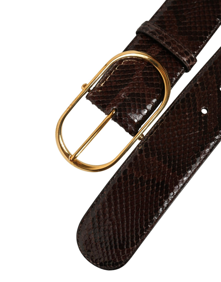 Women’s Dolce &amp; Gabbana Brown Python Leather Gold Metal Buckle Belt