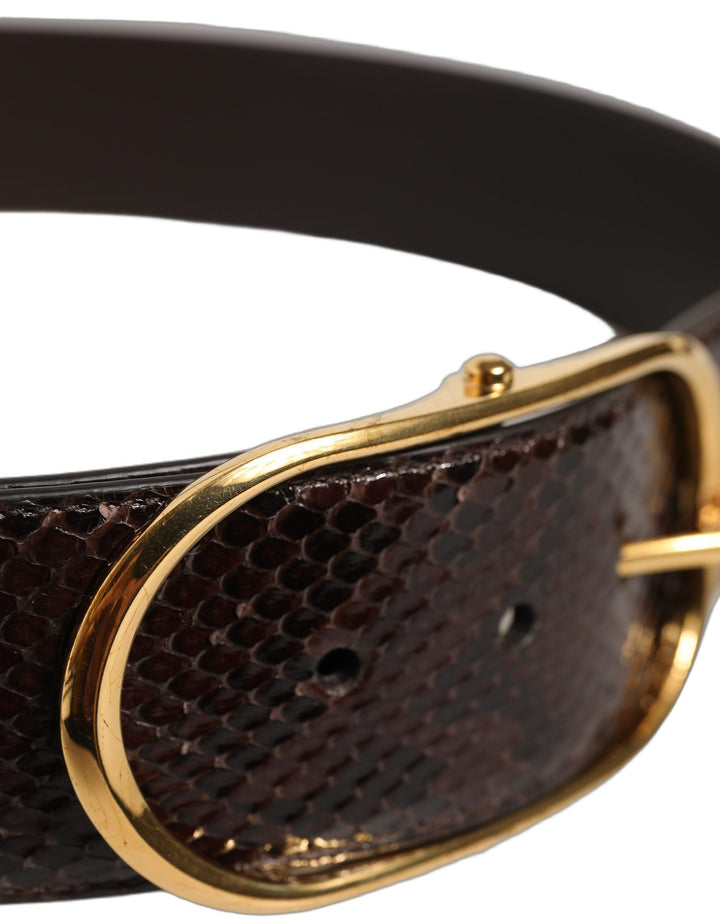 Women’s Dolce &amp; Gabbana Brown Python Leather Gold Metal Buckle Belt