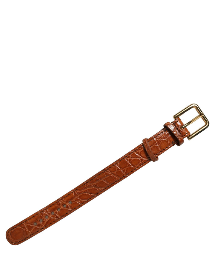 Women’s Dolce &amp; Gabbana Brown Textured Leather Gold Buckle Belt Strap Bracelet