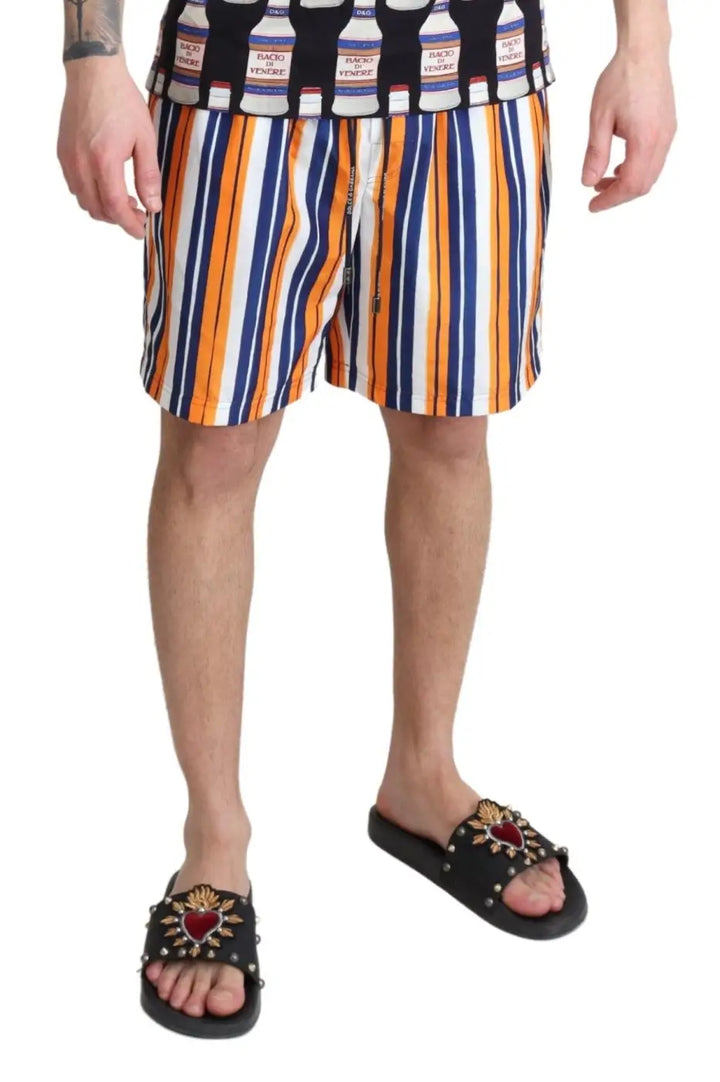 Women’s Dolce &amp; Gabbana Multicolor Striped Beachwear Swimshorts