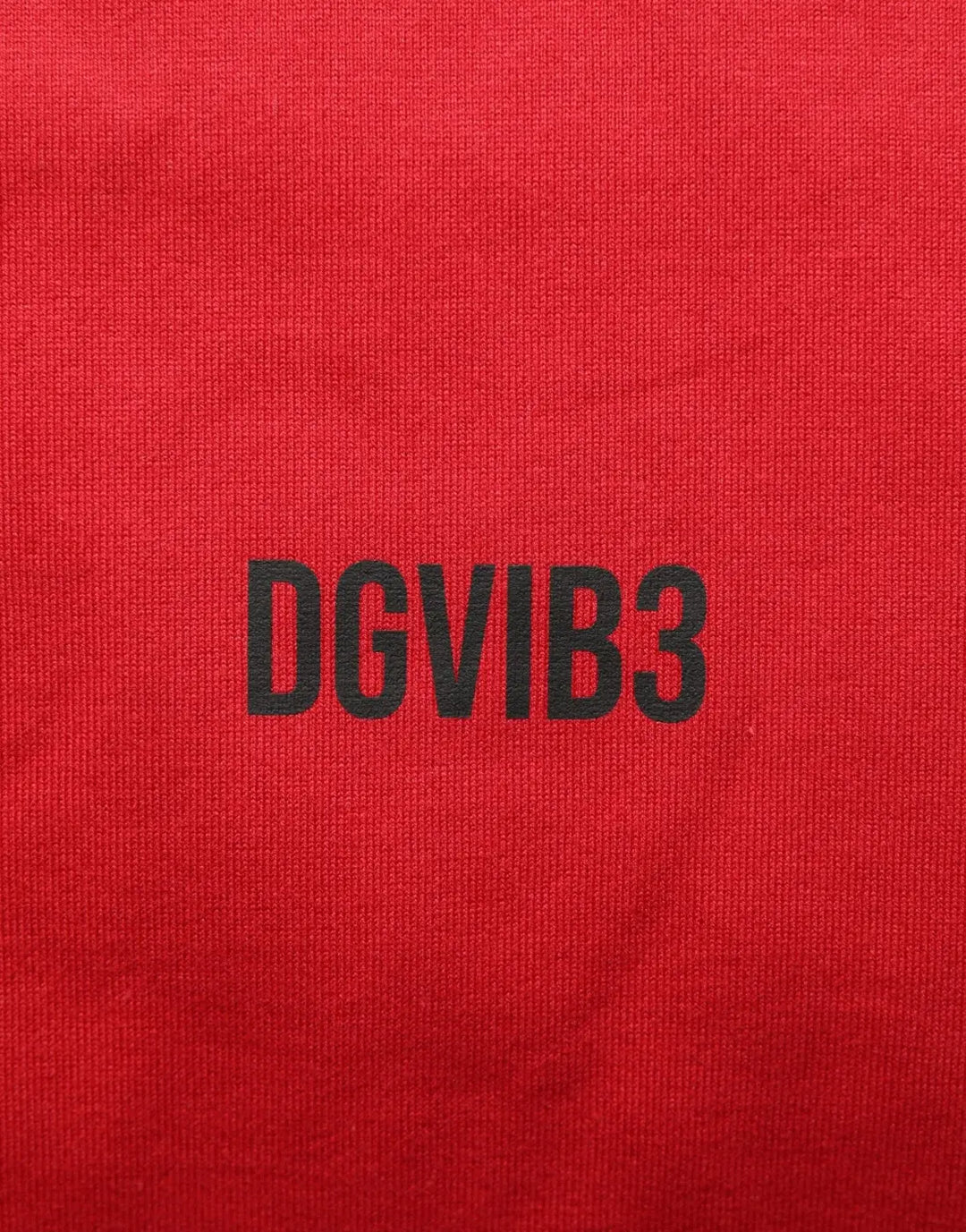 Women’s Dolce &amp; Gabbana Red Cotton Graphic Print Crew Neck T-shirt