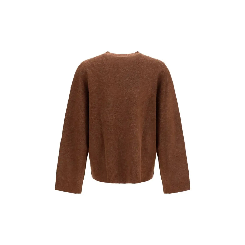 Women’s Represent Brown Alpaca Vicugna Pacos Sweatshirt