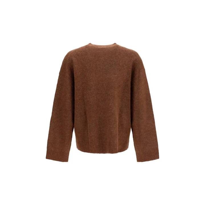 Women’s Represent Brown Alpaca Vicugna Pacos Sweatshirt